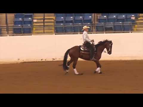 180721 Chris Allen on Gangsters Bankroll NP Derby