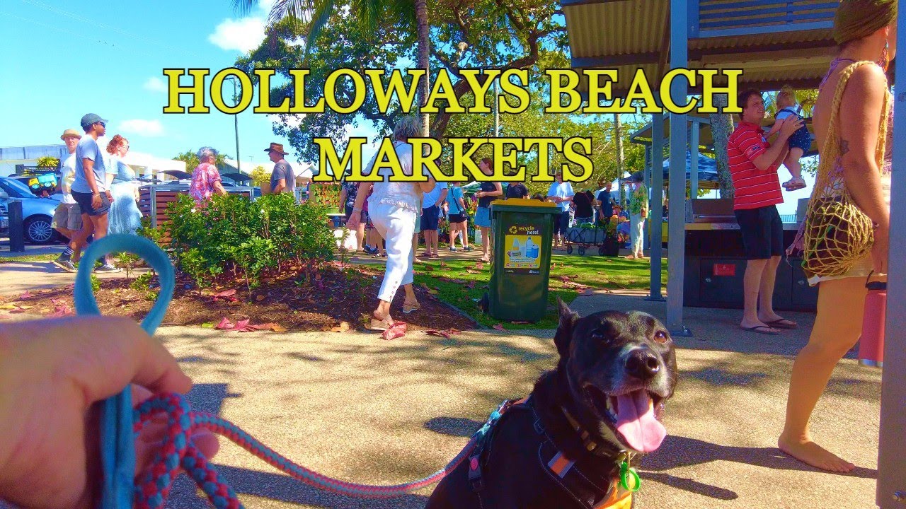 Embark on a walking tour around Holloways Beach.