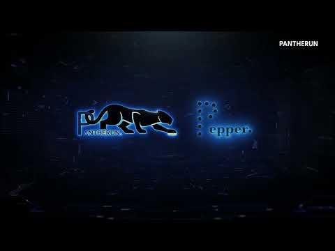 Pepper: Pantherun's open source platform
