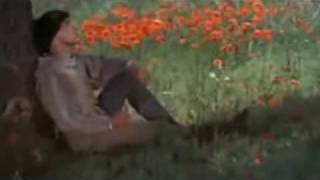 Del 04 al 09 de diciembre