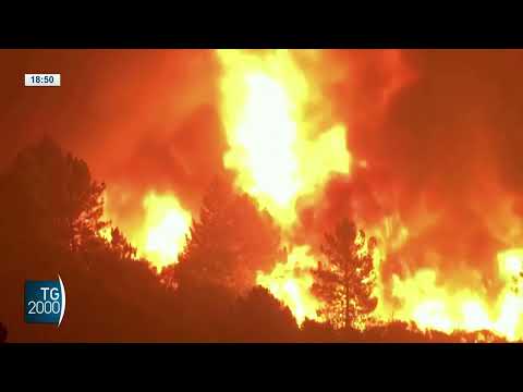 Estate 2022 la più calda della storia in Europa