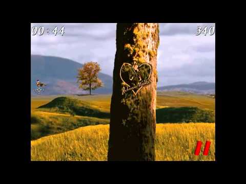 King of the GAME : Moorhuhn - Runde 8 (Chainsawman16)