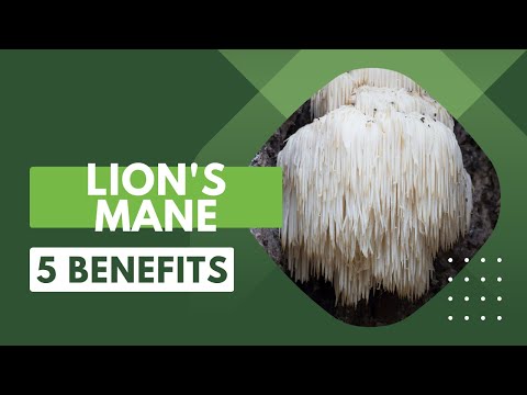 YouTube video about Discover the Amazing Health Benefits of Lion's Mane