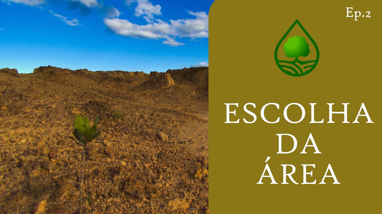 Episódio 2 - Escolha da área para plantio