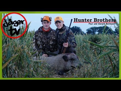 Jagd auf Weizenschweine  | mit den Hunter Brothers