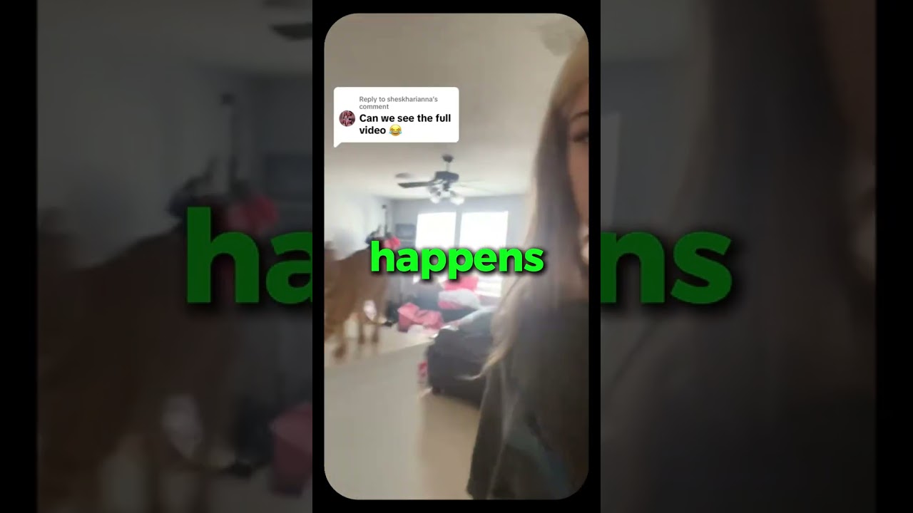 그녀의 고양이가 계단에서 떨어졌고 이런 일이 일어났습니다.