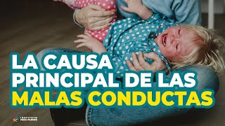 🤬 ¿Qué hacer cuando un NIÑO se porta MAL?  Claves a tener en cuenta