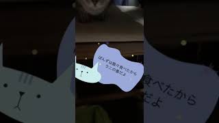 今日の、らにとぽんず。2018. 11.15 today's my kitty