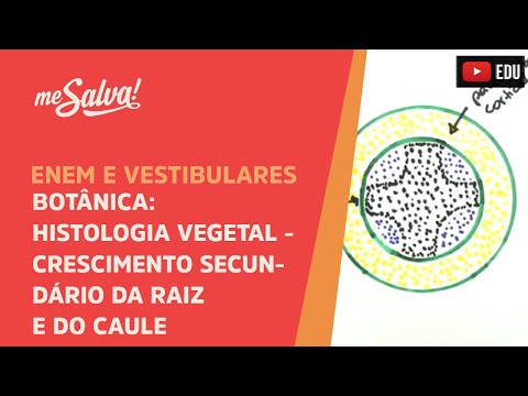 Me Salva! BOT21 - Botânica - Histologia vegetal: crescimento secundário da raíz e do caule