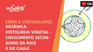 Me Salva! BOT21 - Botânica - Histologia vegetal: crescimento secundário da raíz e do caule