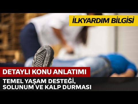 Temel Yaşam Desteği, Solunum ve Kalp Durması Temel Yaşam Desteği, Solunum ve Kalp Durması