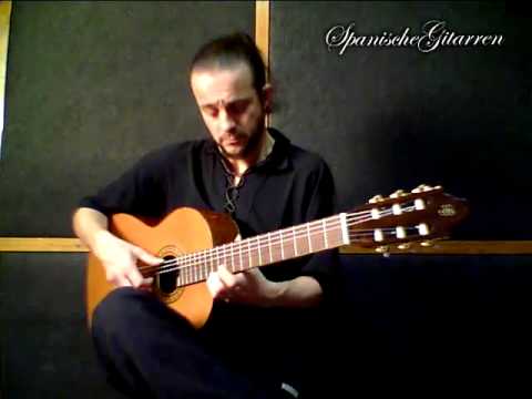 Prudencio Saez 16 with case - Classical Guitar image 3