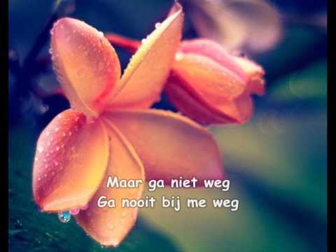 download lagu mp3 mp4 Henk Westbroek, download lagu Henk Westbroek gratis, unduh video klip Download Henk Westbroek Mp3 dan Mp4 320kbps Gratis