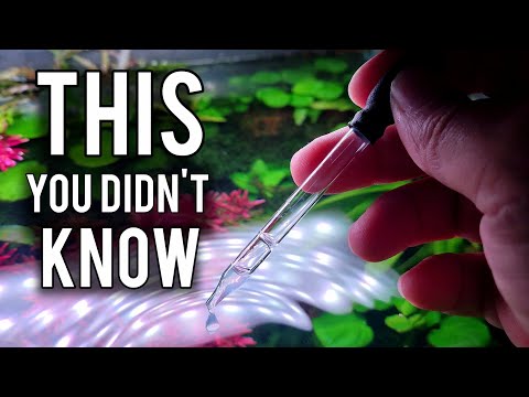 The Secret to Explosive Aquarium Plant Growth - No CO2 Needed