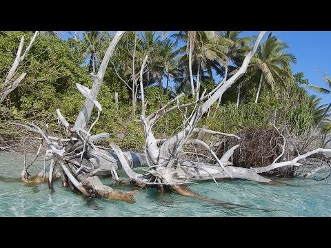 ツバルの歴史 - 定義