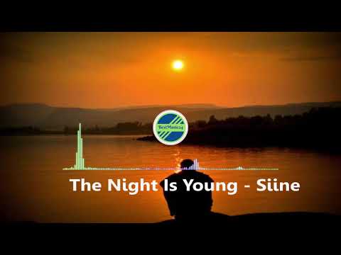 The Night Is Young  - Siine feat  Willow,[2010s Pop Music]