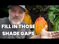 10 Shade Loving Plants You Can Eat