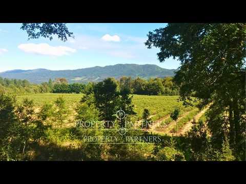 EXCLUSIVO TERRENO 5 9 HAS  CON 140M DE ORILLA DE RÍO MAÑÍO   PANGUIPULLI