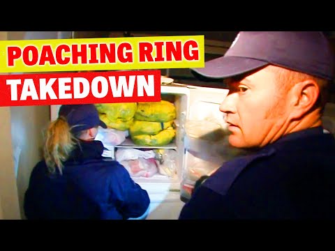 Fishery Officers' Stop an Illegal $1.3 Million Fishing Syndicate