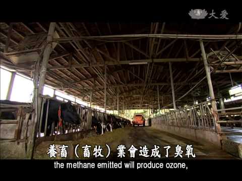 2013.07.01 Be a Vegetarian to Save Our Planet