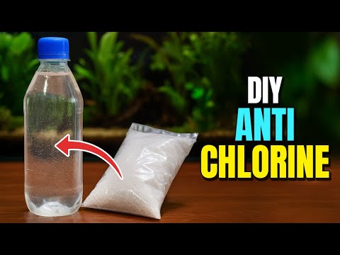 DIY Anti-Chlorine: Remove Chlorine from Tap Water for Your Aquarium