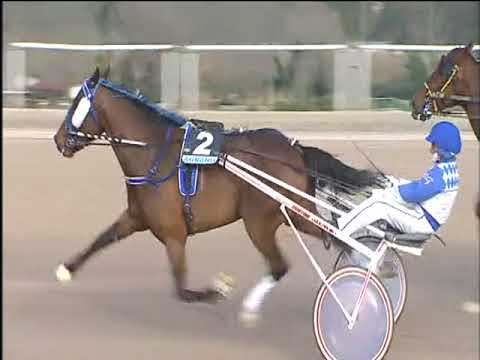 Trotto 09/03/2018 - 4ª corsa