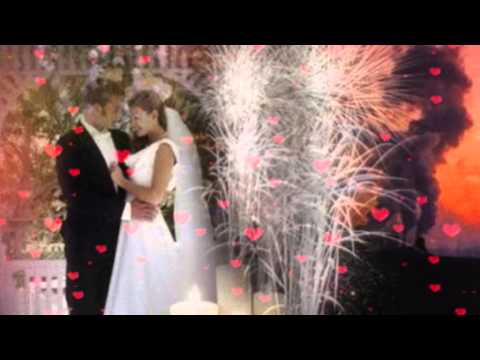 Biesiadne - Siadła pszczółka na jabłoni