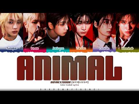 BOYNEXTDOOR 'ANIMAL' Lyrics (보이넥스트도어 ANIMAL 가사) [Color Coded Han_Rom_Eng] | ShadowByYoongi