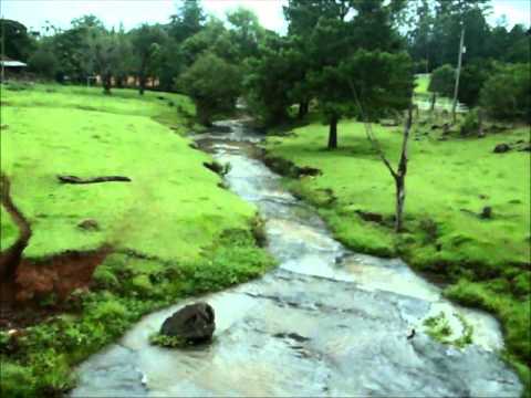 download lagu mp3 mp4 Mark Knopfler Potato Picking, download lagu Mark Knopfler Potato Picking gratis, unduh video klip Mark Knopfler Potato Picking