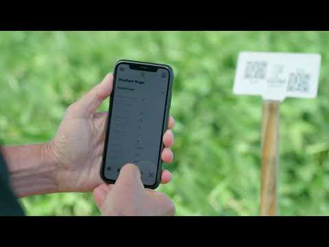GDM Explore video thumbnail