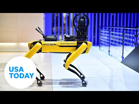 Businesses show off latest robotic tech at ROBOTWORLD 2022 | USA TODAY