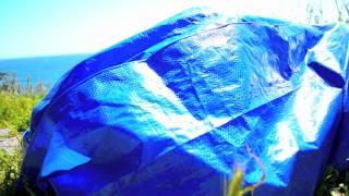 will haven - held to answer.