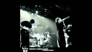 Darwin&#39;s Waiting Room - Not Like Me