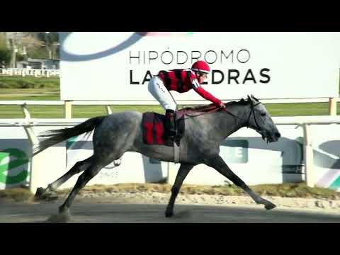 220610 c08 - ELDAN -  HIPODROMO LAS PIEDRAS