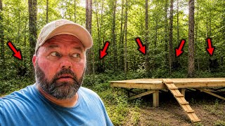 It’s Way Worse Than I Thought… Wild Hogs Taking Over