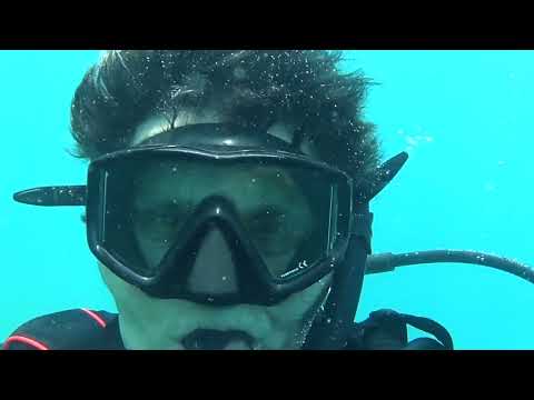 Nuestro hobby casita de langosta