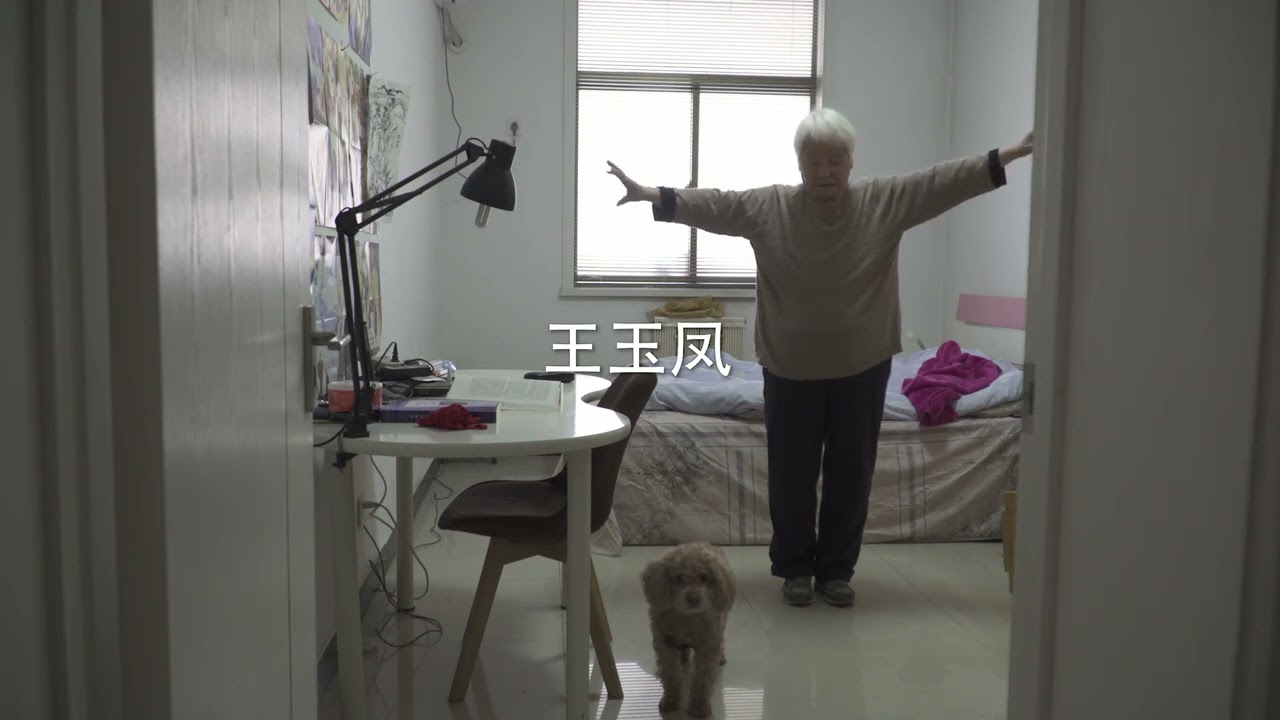 Wang Yufeng - TRAILER