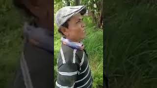 Download lagu ternyata pasien RSJ ( BANG MAJA TOPENG ) VIDEO LAWAS COVID @TopengHarapanjayaMajagroup #topenglucu mp3