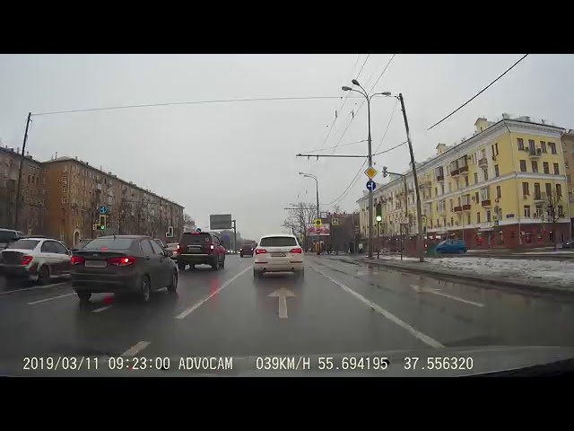 Неужели все они так спешат попасть под колеса?