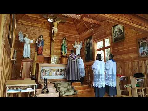 Ks. Natanek - Niedziela Palmowa 14.04.2019 cz.1