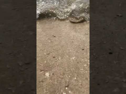 Habibi Come to Dubai Beach 🏝