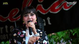 Download lagu LIWUNG LELY BP4 - AMELIA KELET BOGAS ROYAL COMMUNITY mp3