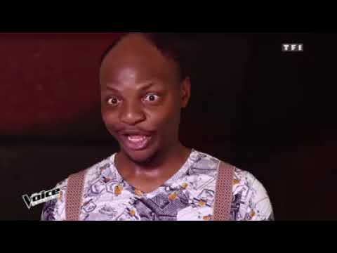 The voice France (willy dumbo)