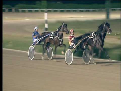 Trotto 24/06/2017 - 3ª corsa