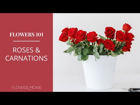 バラとカーネーションのお手入れ 101 - お手入れ方法と開封を早くするためのヒント!