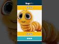 larva - larva video thumbnail