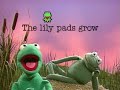 Muppet Sing Alongs Billy Bunny S Animal Songs Frog Talk 1990