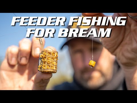 FEEDER FISHING FOR BREAM
