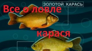Диалоги о рыбалке карп карась весной