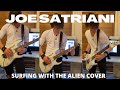 My Version of Surfing with the Alien
